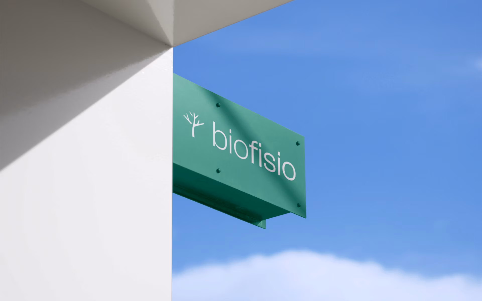 Biofisio — imagem 3